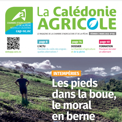 calédonie agricole.PNG