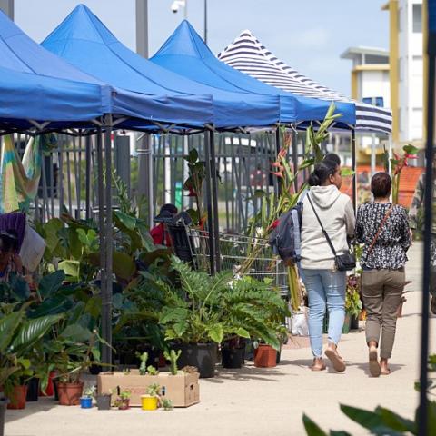 marché aux plantes.jpg