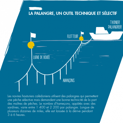 Pêche : des alternatives aux lignes en nylon et au plomb rares et peu  abordables sur le Caillou - Nouvelle-Calédonie la 1ère