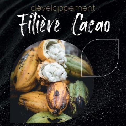 cacao.jpg