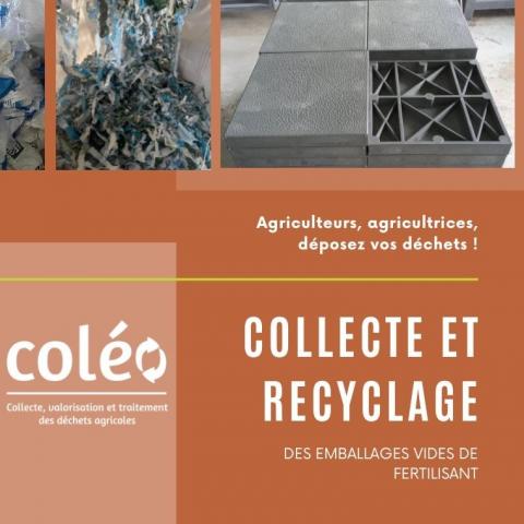 collecte et recyclage_0.jpg