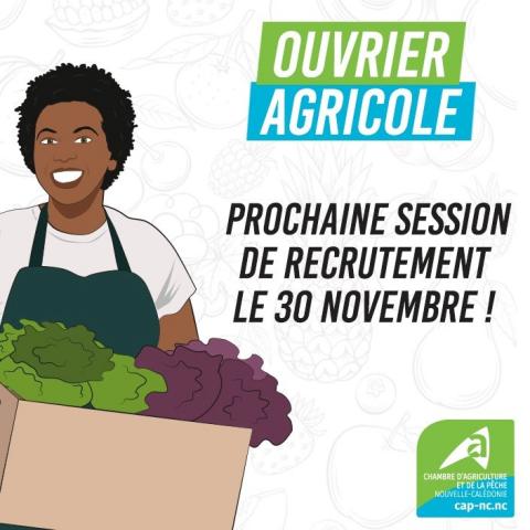 ouvrier agricole.jpg