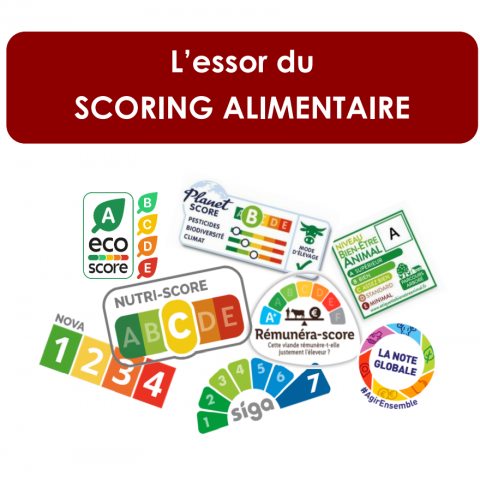 scoring alimentaire.PNG