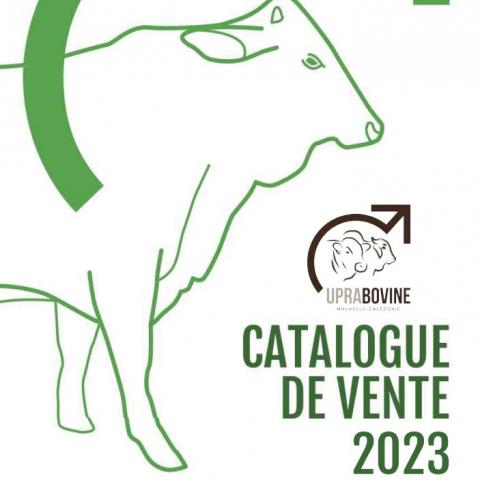 Catalogue de vente 2023.JPG