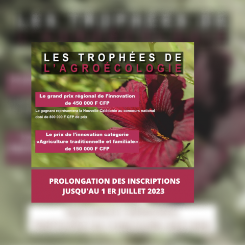 Trophees