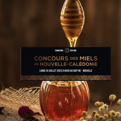 CONCOURS MIEL 