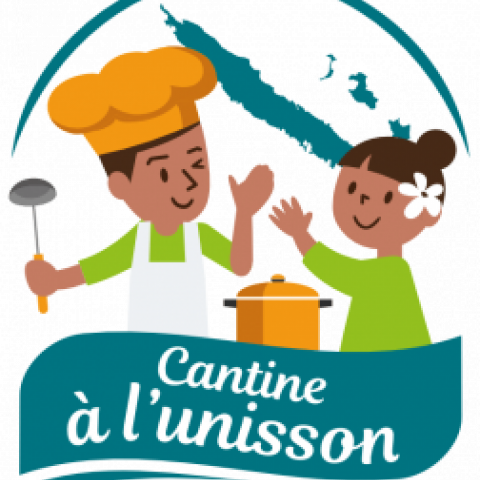 cantines-unisson-pfl-logo-dcf73529-252x300.png