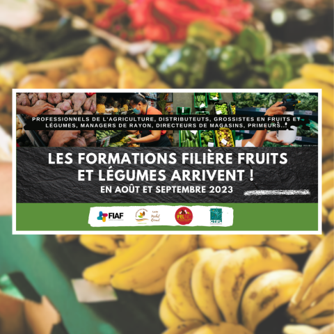 27_07 - Formations filière fruits et légumes.png