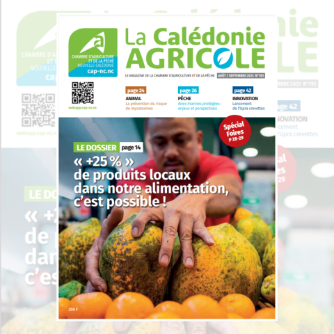 31_07 -  N°192 Calédonie agricole (2).png