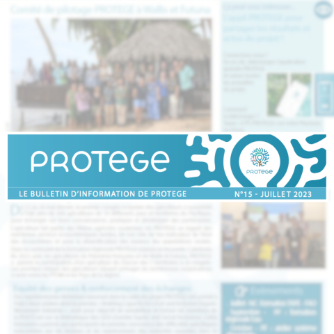 FB Bulletin d'info n°15 PROTEGE (2).png