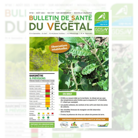 0708 - Bulletin de Santé du Végétal n°60.png