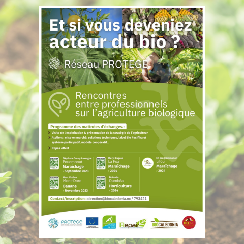 11_08 - Matinée d'échanges conversion agriculture biologique.png