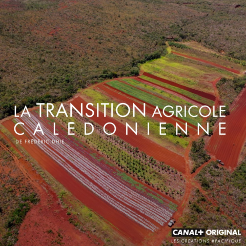 24_08 - Documentaire _La Transition Agricole Calédonienne.png