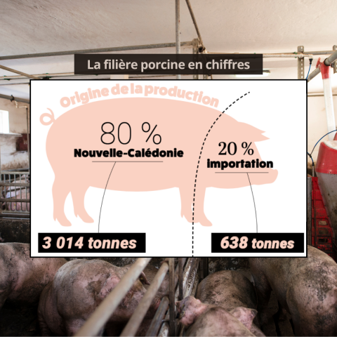 01_09 - Filière porcine Chiffres.png