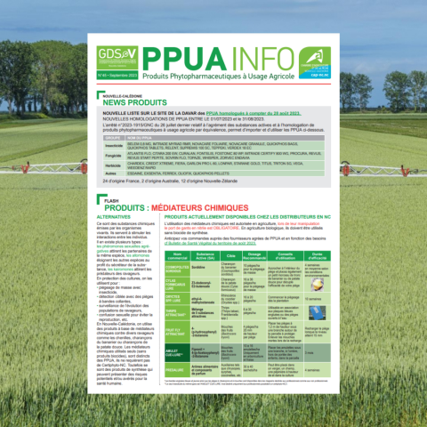 06_09 - PPUA INFO N°45.png