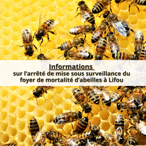 11_09 - Arrêté abeille.png