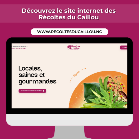 14_09 - Site internet Récoltes du Caillou.png