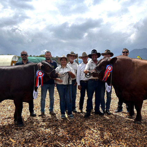 25_09 - Concours Bovin Foire de Koumac (2).png