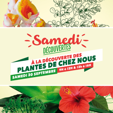 28_09 - Samedi Découvertes _Les plantes locales.png