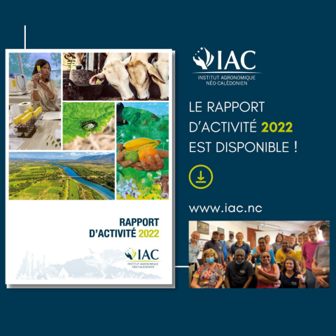 12_10 - Rapport activité IAC (2).png