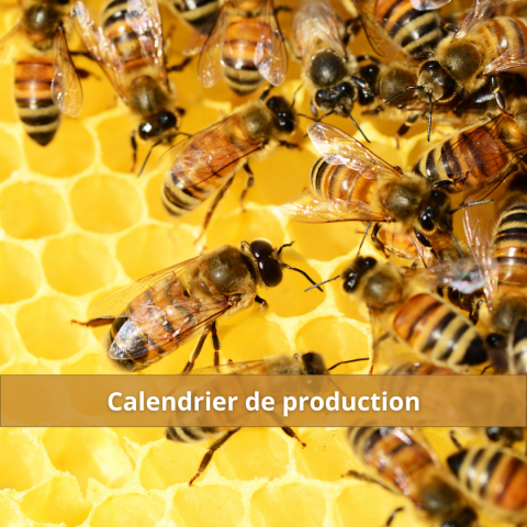 17_10 -  Calendrier production apiculture (2).png