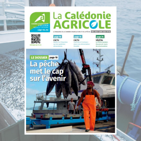 01_12 - La Calédonie agricole n°194.png