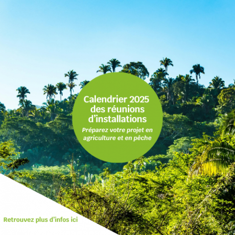 Calendrier 2025 des réunions d’installations.png