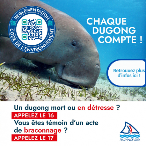 Braconnage dugong .png