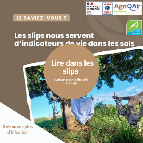 Prim'air : lire dans les slips pour évaluer la santé des sols.png
